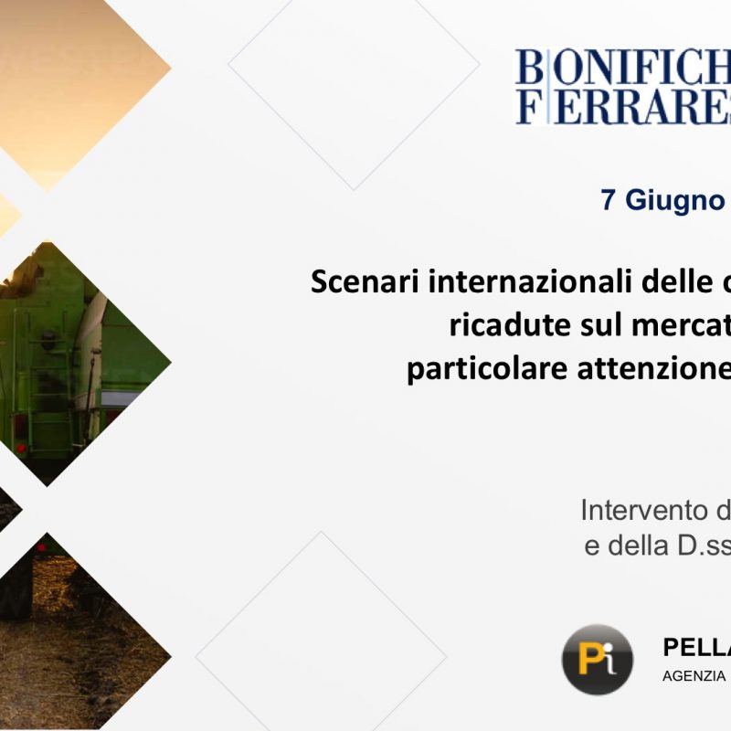 Binifiche ferraresi, Pellati Informa