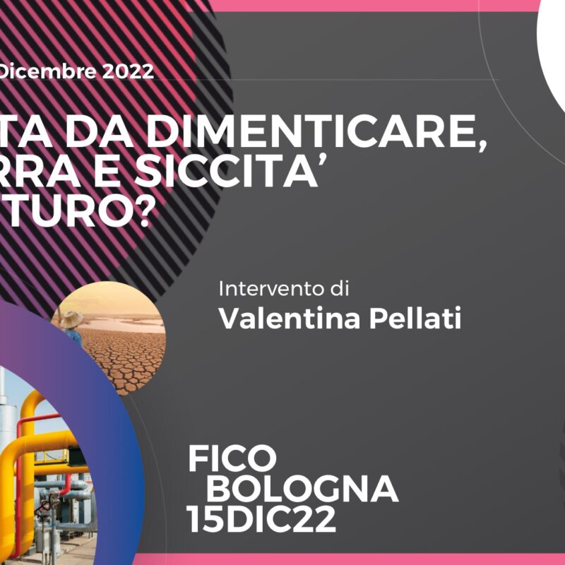 FiCo 15 Dicembre 2022, Pellati Informa